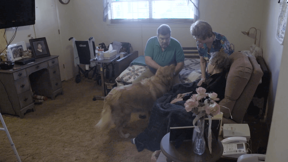 Betty with family dog and patient