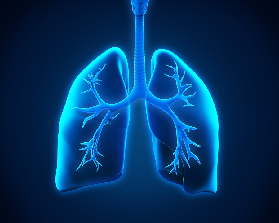 Big stock of lung