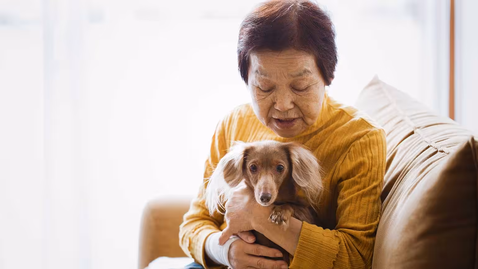 An elderly woman with short brown hair sits on a couch, wearing a yellow top, gently holding a small, long-haired dog in her arms. The dog looks at the camera while the woman looks down.