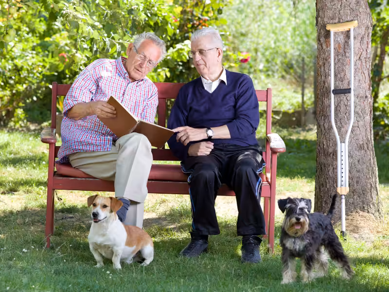 Two elderly men sit on a red bench outdoors, looking at a photo album together. A crutch leans against a nearby tree. A small dog and a schnauzer sit on the grass in front of them. Lush greenery surrounds them.