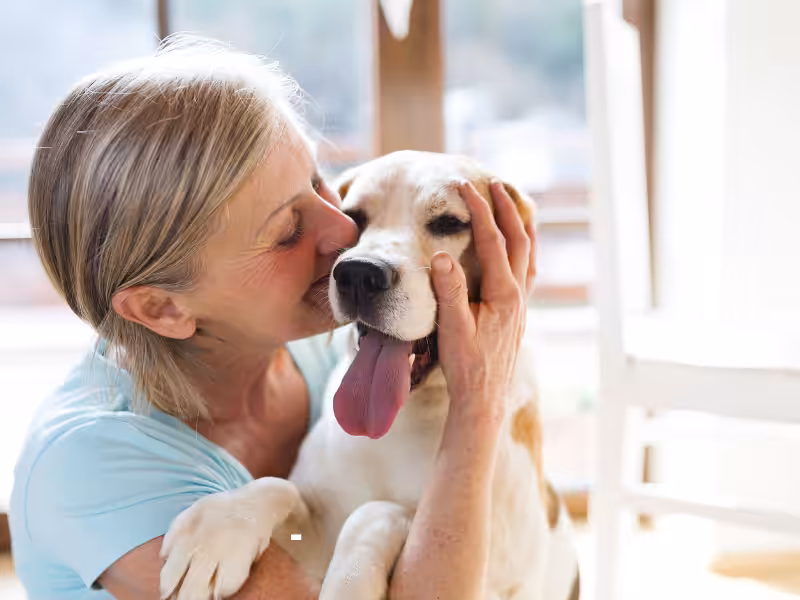 An older woman lovingly hugs and kisses a happy dog with its tongue out, both sitting indoors near a window with sunlight streaming in.
