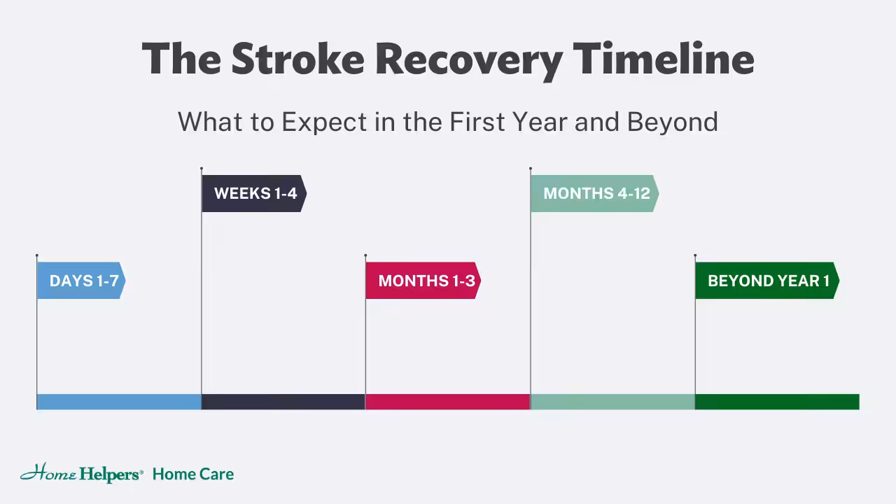 A timeline graphic titled The Stroke Recovery Timeline shows recovery stages: Days 1-7 (blue), Weeks 1-4 (navy), Months 1-3 (pink), Months 4-12 (teal), and Beyond Year 1 (green).