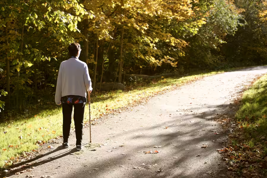 A person walking with a cane on a sunlit path through a wooded area with green and yellow leaves, casting long shadows on the ground.