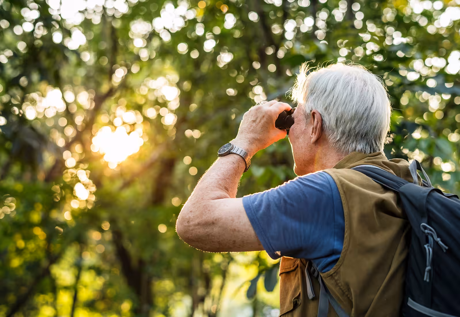An older adult with gray hair, wearing a blue shirt, brown vest, wristwatch, and backpack, looks through binoculars at the sunlit trees in a lush, green forest.