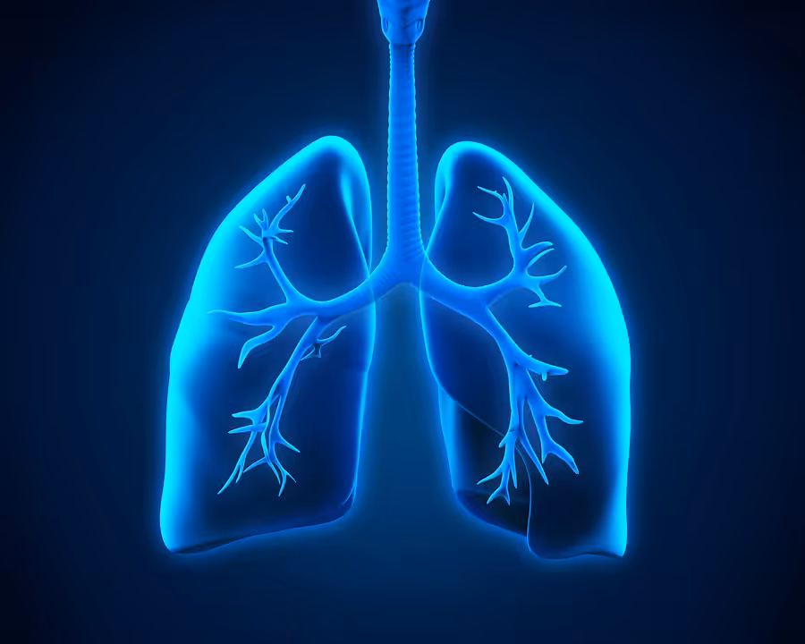 Digital illustration of human lungs and trachea in blue on a dark background, highlighting the bronchial tubes and structure of the respiratory system.