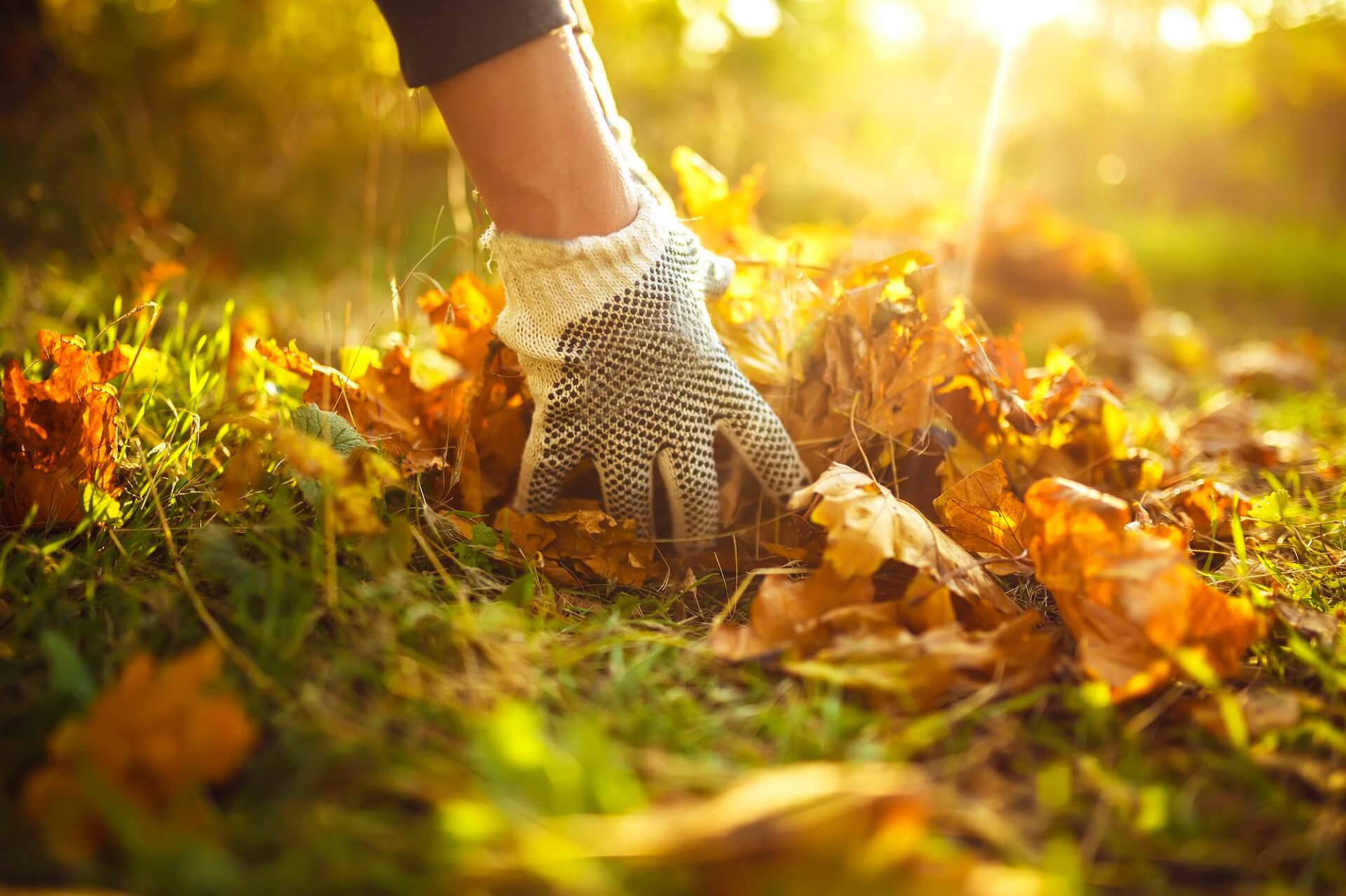 Fall Into a Healthy Routine: Your Autumn Home Care Checklist for Caregivers