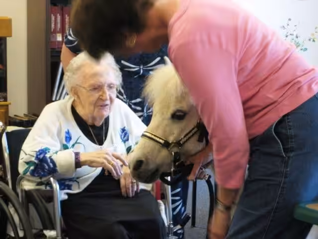 An elderly woman in a wheelchair smiles and pets a small white pony, while another person in a pink shirt gently holds the pony’s harness nearby.
