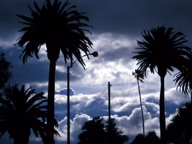 Silhouettes of tall palm trees and utility poles stand against a dramatic, cloudy sky with sunlight breaking through the clouds, creating a striking contrast.