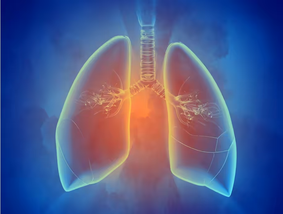Digital illustration of human lungs and trachea, with highlighted bronchi and bronchioles, set against a blue background with a glowing orange center, symbolizing respiration or lung health.