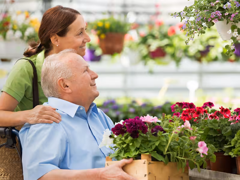 An older man in a wheelchair holds a box of colorful flowers while a woman stands behind him, smiling. They are surrounded by vibrant potted plants in a greenhouse or garden center.