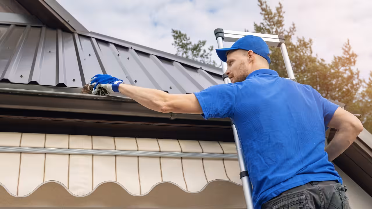 A person wearing a blue shirt, cap, and gloves stands on a ladder, cleaning leaves and debris from a house’s metal roof gutter on a sunny day. Trees and sky are visible in the background.