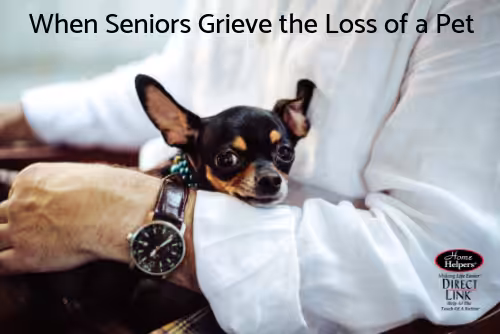 A small black and brown dog rests in the arms of a person wearing a white shirt and watch. Text at the top reads, When Seniors Grieve the Loss of a Pet. A logo for Home Helpers is in the bottom right corner.