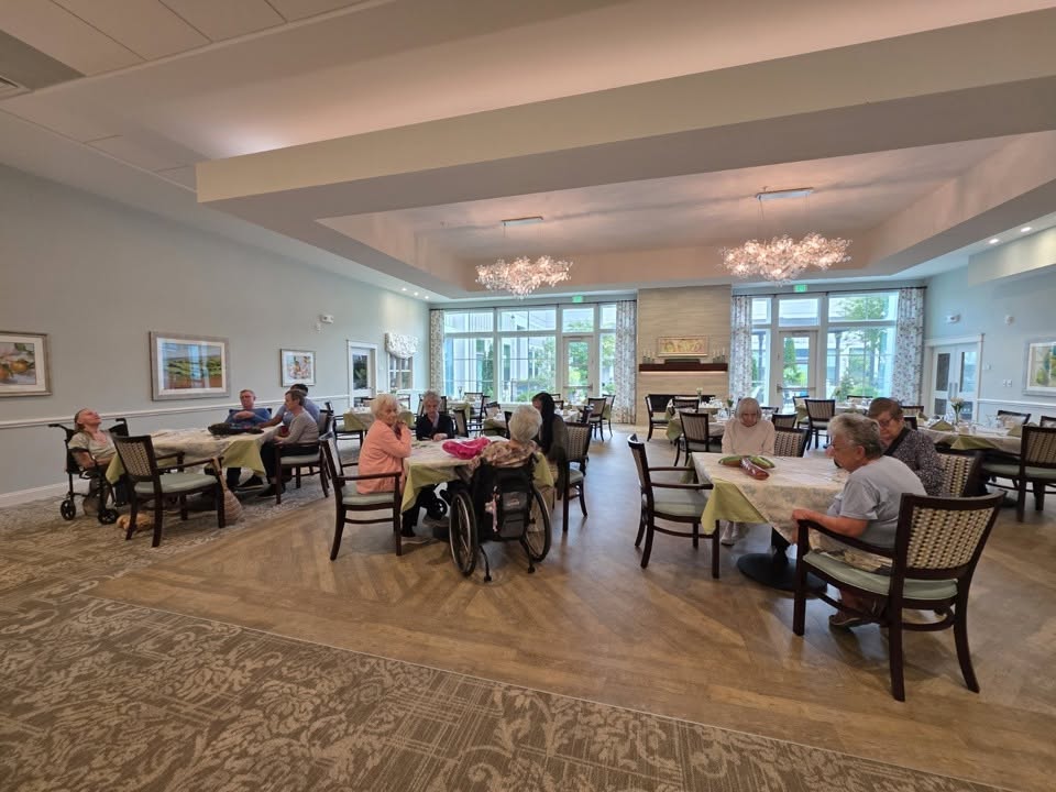 Several elderly people are seated at tables in a spacious, well-lit dining area with large windows, chandeliers, and neutral-colored decor. Some are engaged in conversation or eating.