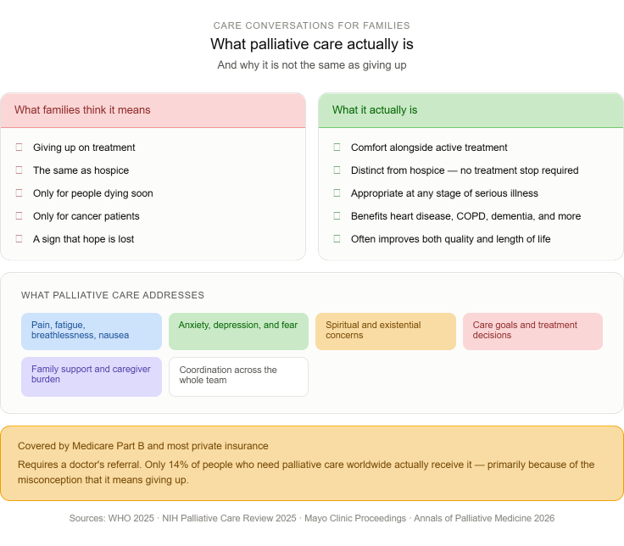Infographic compares misconceptions about palliative care with facts, lists what it addresses, and highlights low access rates despite insurance coverage. Color-coded sections clarify differences between beliefs and realities.