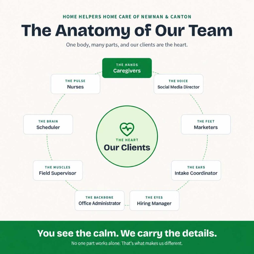 Infographic titled The Anatomy of Our Team, showing a circle of roles representing body parts, with Our Clients at the center as the heart and Caregivers as the hands.